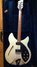Rickenbacker 330/6 BH BT, Silver: Full Instrument - Front