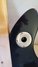 Rickenbacker 400/6 PW Refin, Black: Close up - Free