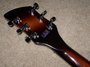Rickenbacker 650/6 Colorado, MonteBrown: Headstock - Rear