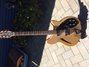 Rickenbacker 360/12 , Mapleglo: Full Instrument - Front