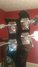 Rickenbacker 4001/4 V63, Jetglo: Headstock - Rear