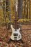 Rickenbacker 4001/4 CS, Cream: Full Instrument - Front