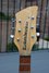 Rickenbacker 325/6 V59, Mapleglo: Headstock