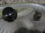 Rickenbacker 59/6 LapSteel, Silver: Close up - Free2