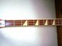 Rickenbacker 4001/4 , Fireglo: Neck - Front