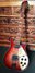 Rickenbacker 660/12 TP, Fireglo: Full Instrument - Front