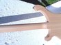 Rickenbacker 4003/4 Mod, Mapleglo: Neck - Rear