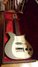 Rickenbacker 1000/6 , Custom: Full Instrument - Front