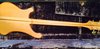 Rickenbacker 4001/4 , Mapleglo: Full Instrument - Rear