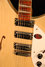 Rickenbacker 1993/12 Plus, Mapleglo: Close up - Free