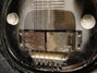 Rickenbacker 59/6 LapSteel, Gray: Close up - Free2