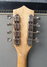 Rickenbacker 5002/8 V58, Mapleglo: Headstock - Rear