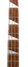 Rickenbacker 4003/4 , Mapleglo: Neck - Front