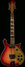 Rickenbacker 660/12 , Fireglo: Full Instrument - Front