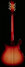 Rickenbacker 660/12 , Fireglo: Full Instrument - Rear