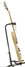Rickenbacker 330/12 , Mapleglo: Free image