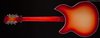 Rickenbacker 1993/12 Plus, Fireglo: Full Instrument - Rear