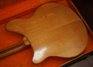 Rickenbacker 360/6 Slant Fret, Mapleglo: Free image