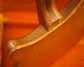 Rickenbacker 360/6 Slant Fret, Mapleglo: Neck - Rear