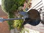 Rickenbacker 330/12 , Jetglo: Full Instrument - Rear