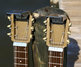 Rickenbacker D12/12 LapSteel, Copper: Close up - Free