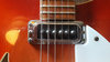 Rickenbacker 360/6 WB, Fireglo: Close up - Free