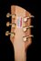 Rickenbacker 650/6 Sierra, Natural Walnut: Headstock - Rear