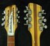 Rickenbacker 366/12 , Mapleglo: Headstock
