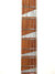 Rickenbacker 360/6 , Fireglo: Neck - Front