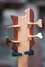 Rickenbacker 4004/4 Ci, Natural Walnut: Headstock - Rear