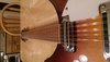 Rickenbacker 360/12 B Series, Fireglo: Neck - Front
