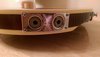 Rickenbacker 360/12 B Series, Fireglo: Close up - Free