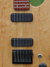 Rickenbacker 230/6 BH BT, Mapleglo: Free image