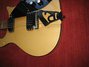 Rickenbacker 620/6 BH BT, Mapleglo: Free image