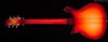 Rickenbacker 660/6 , Fireglo: Full Instrument - Rear