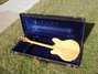 Rickenbacker 370/12 , Mapleglo: Full Instrument - Rear