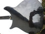 May 1964 Rickenbacker 1996(LH)/6 RoMo, Fireglo: Body - Rear