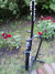 Rickenbacker 1996/6 RoMo, Fireglo: Neck - Rear
