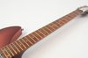 Rickenbacker 330/6 , Fireglo: Neck - Front