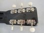 Rickenbacker B/6 LapSteel, Black: Headstock - Rear