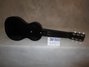 Rickenbacker B/6 LapSteel, Black: Full Instrument - Rear