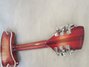 Rickenbacker 360/16 , Fireglo: Neck - Rear