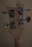Rickenbacker 4003/4 , Mapleglo: Headstock - Rear