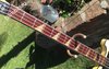 Rickenbacker 4001/4 , White: Neck - Front