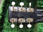 Rickenbacker B/6 LapSteel, Jetglo: Headstock - Rear