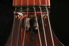 Rickenbacker 370/6 VP, Fireglo: Free image