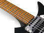 Rickenbacker 325/6 f hole, Jetglo: Neck - Front