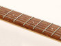 Rickenbacker 330/6 , Mapleglo: Neck - Front