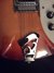 Rickenbacker 360/12 , Fireglo: Close up - Free2