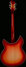 Rickenbacker 360/12 C63, Fireglo: Full Instrument - Rear